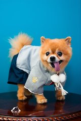 imtoken钱包下载20