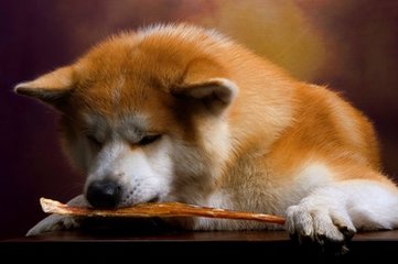 usdt钱包手机下载