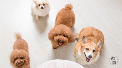 okpay钱包如何投资