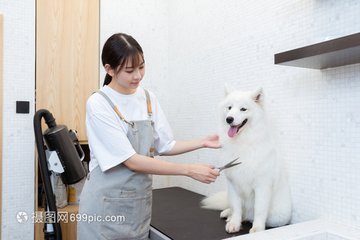 ok交易所app官网下载