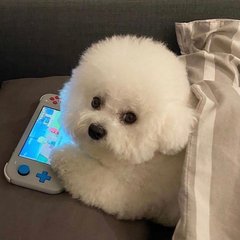 okpay钱包钱干净吗