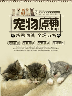 BNB钱包官网