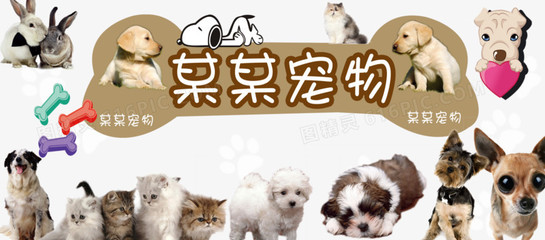 okpay钱包下载注册