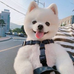 小狐狸钱包6.0.1版本