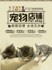 ok钱包app密钥